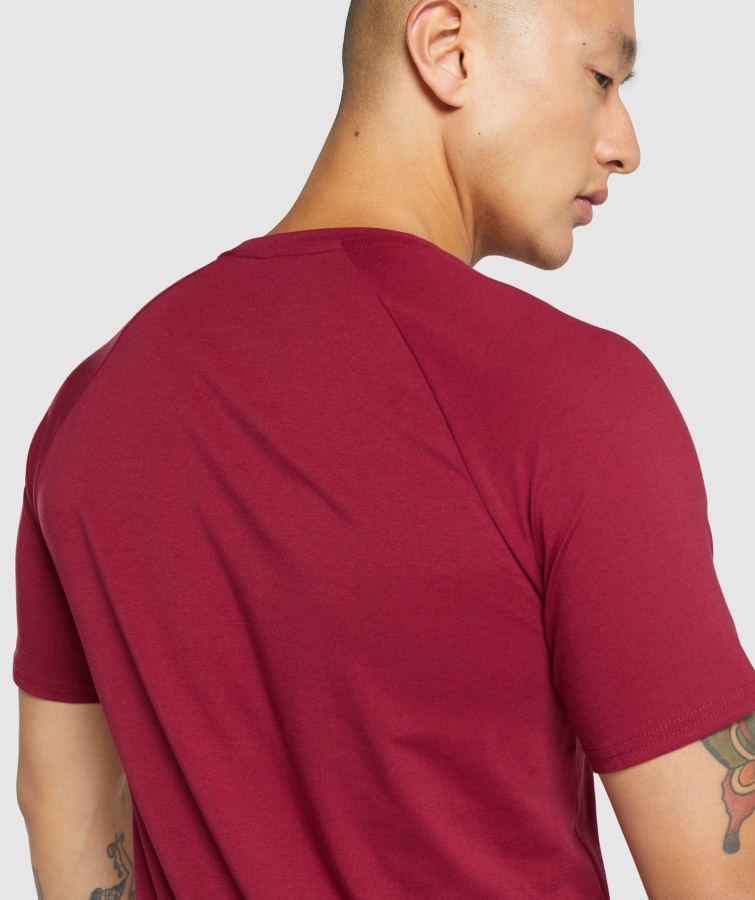 Gymshark Burgundy Critical 2.0 T-shirt