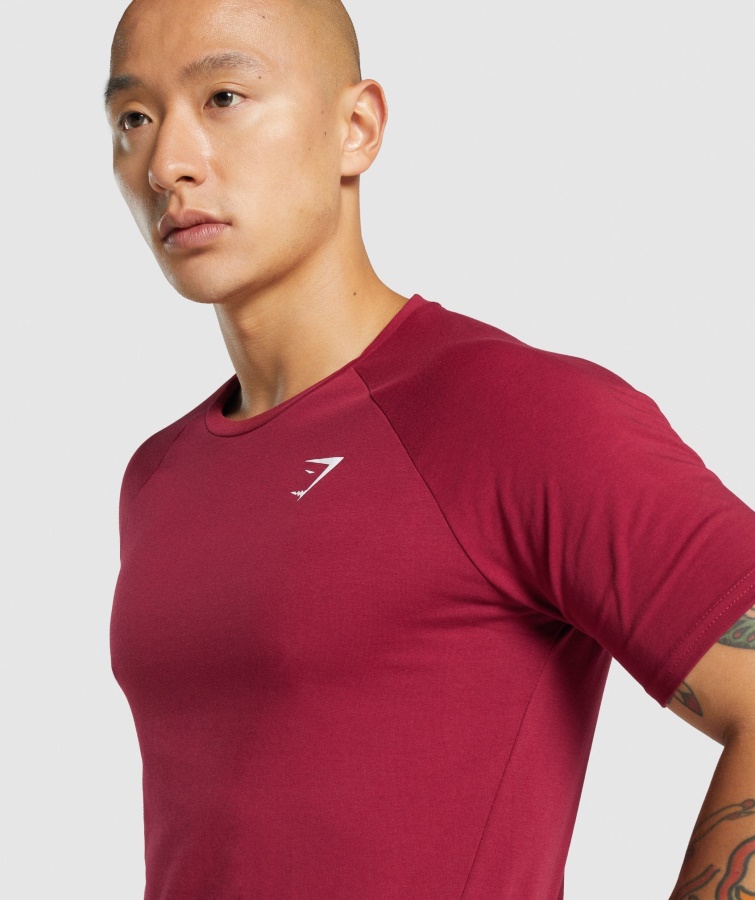 Gymshark Burgundy Critical 2.0 T-shirt
