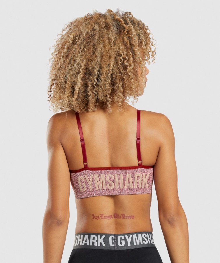 Gymshark Bordeaux Marl Flex Sports-bh Med Stropper