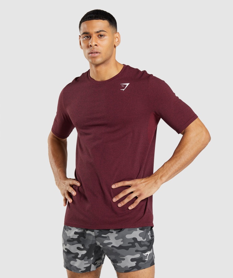 Gymshark Bordeaux Rød Mergel Ankomst Sømløs Kortærmet T-shirt
