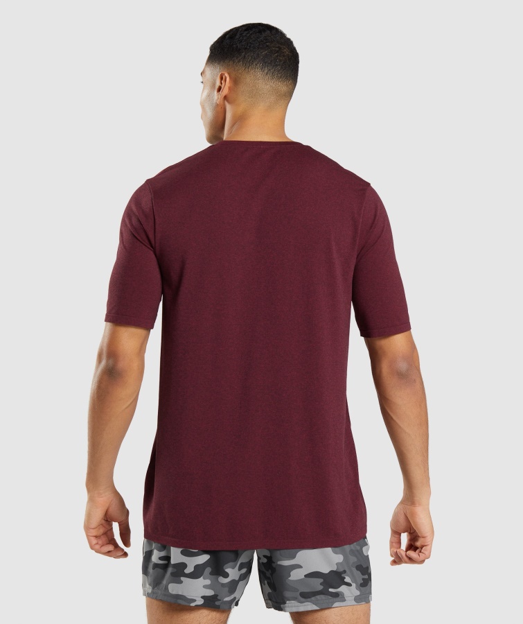 Gymshark Bordeaux Rød Mergel Ankomst Sømløs Kortærmet T-shirt