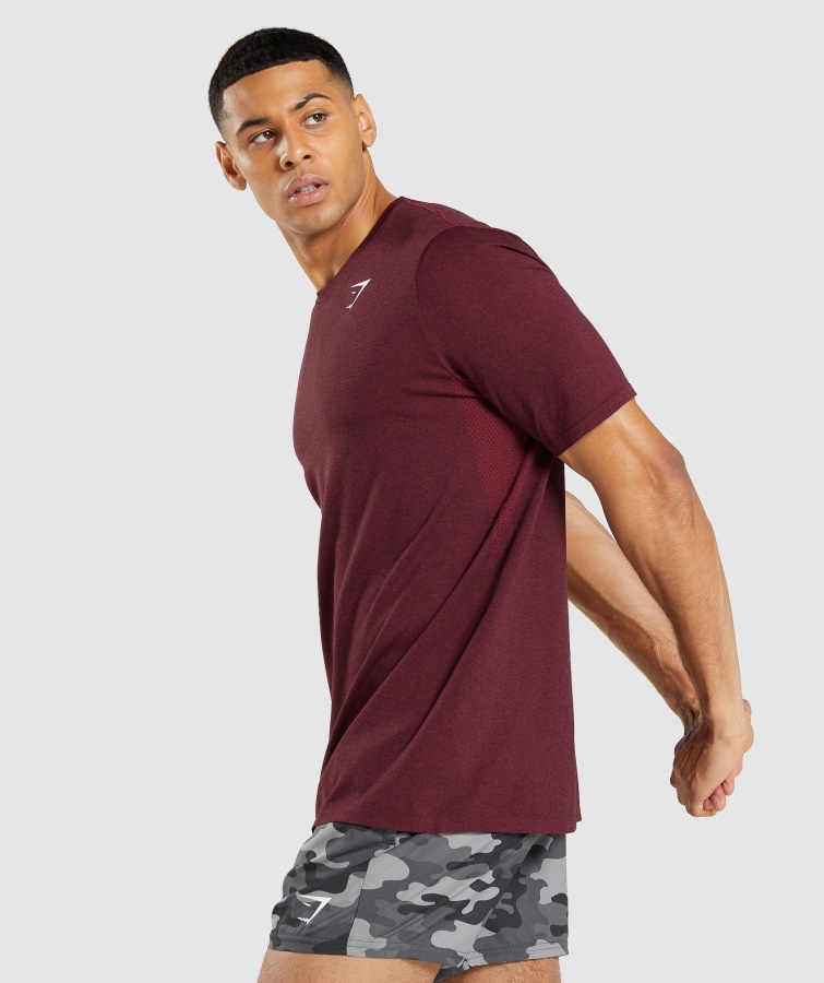 Gymshark Bordeaux Rød Mergel Ankomst Sømløs Kortærmet T-shirt