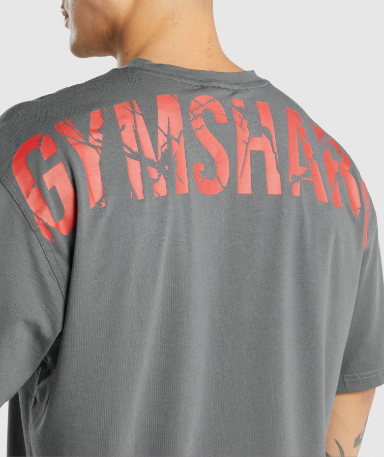 Gymshark Koksgrå Power T-shirt
