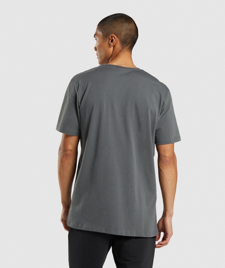 Gymshark Charcoal Sharkhead Infill T-shirt