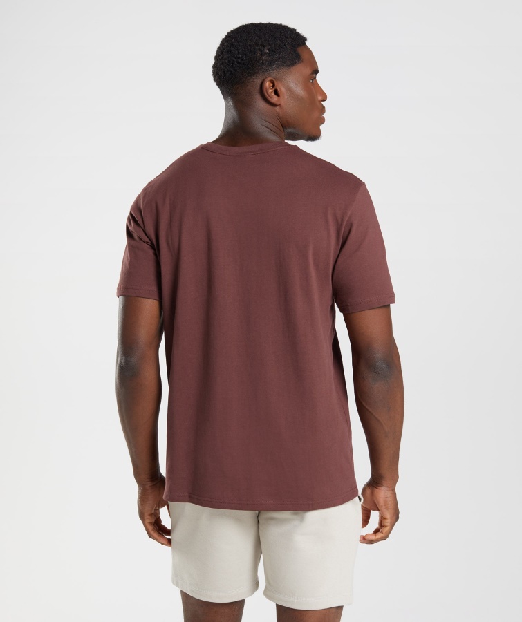 Gymshark Kirsebærbrun Crest T-shirt
