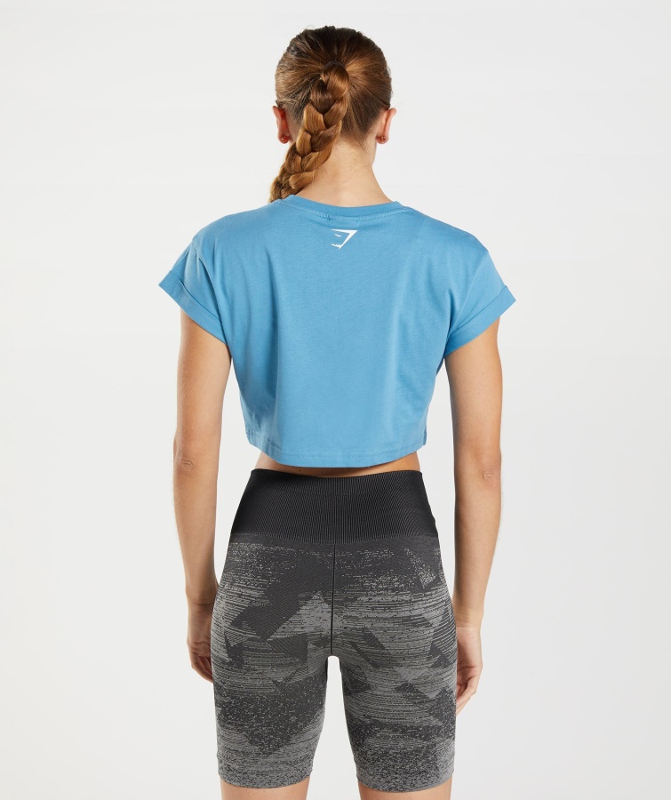 Gymshark Coastal Blue Fraktion Crop Top