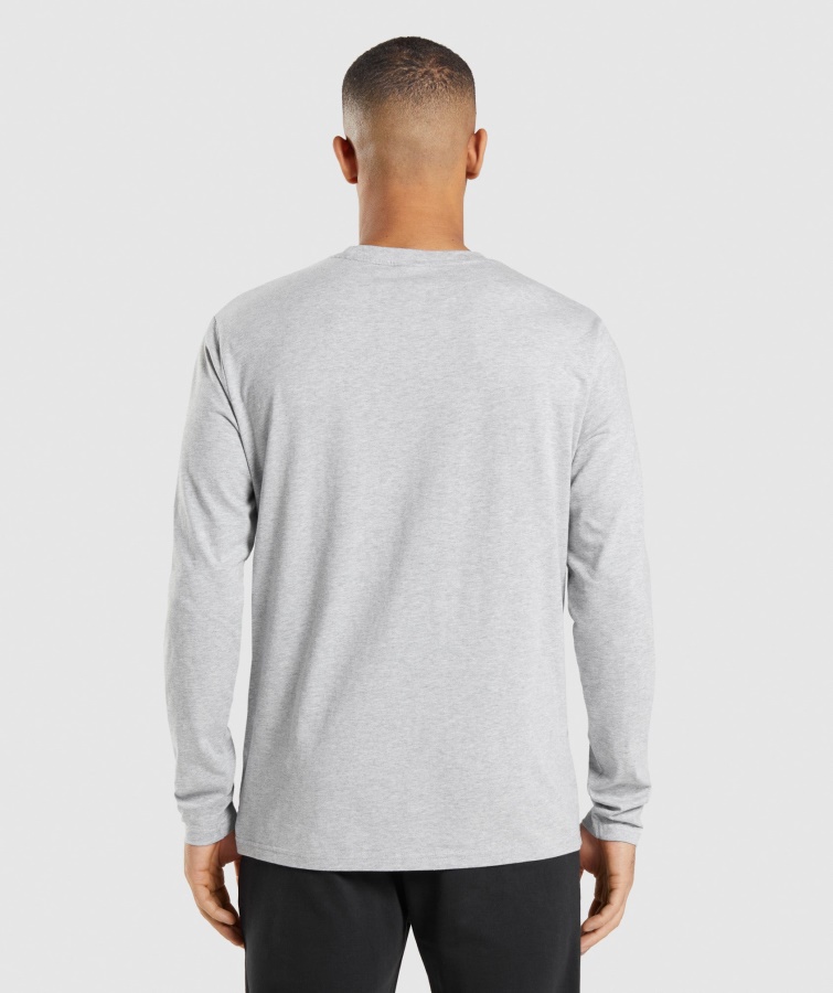 Gymshark Crest Langærmet T-shirt Lysegrå Kerne Mergel
