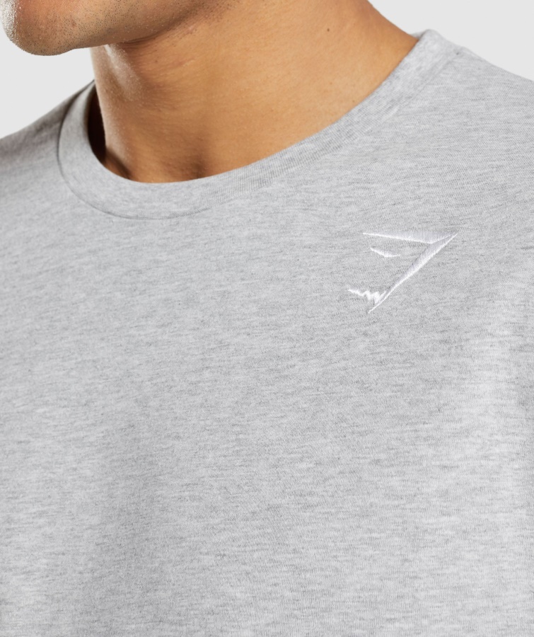 Gymshark Crest Langærmet T-shirt Lysegrå Kerne Mergel