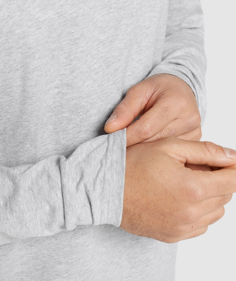 Gymshark Crest Langærmet T-shirt Lysegrå Kerne Mergel