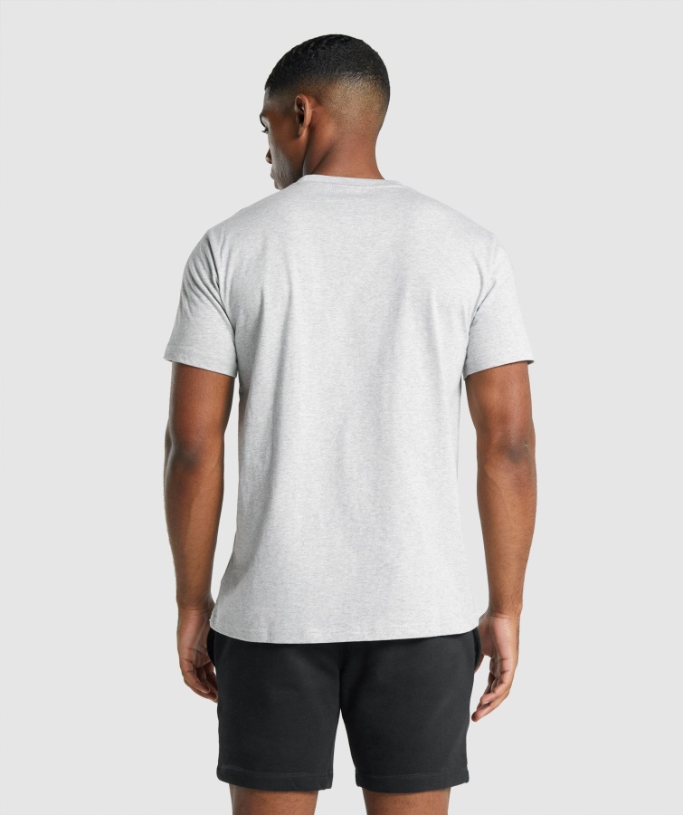 Gymshark Crest T-shirt Lysegrå Mergel