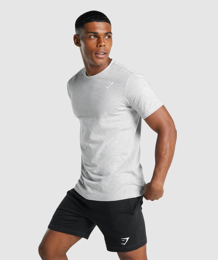 Gymshark Crest T-shirt Lysegrå Mergel