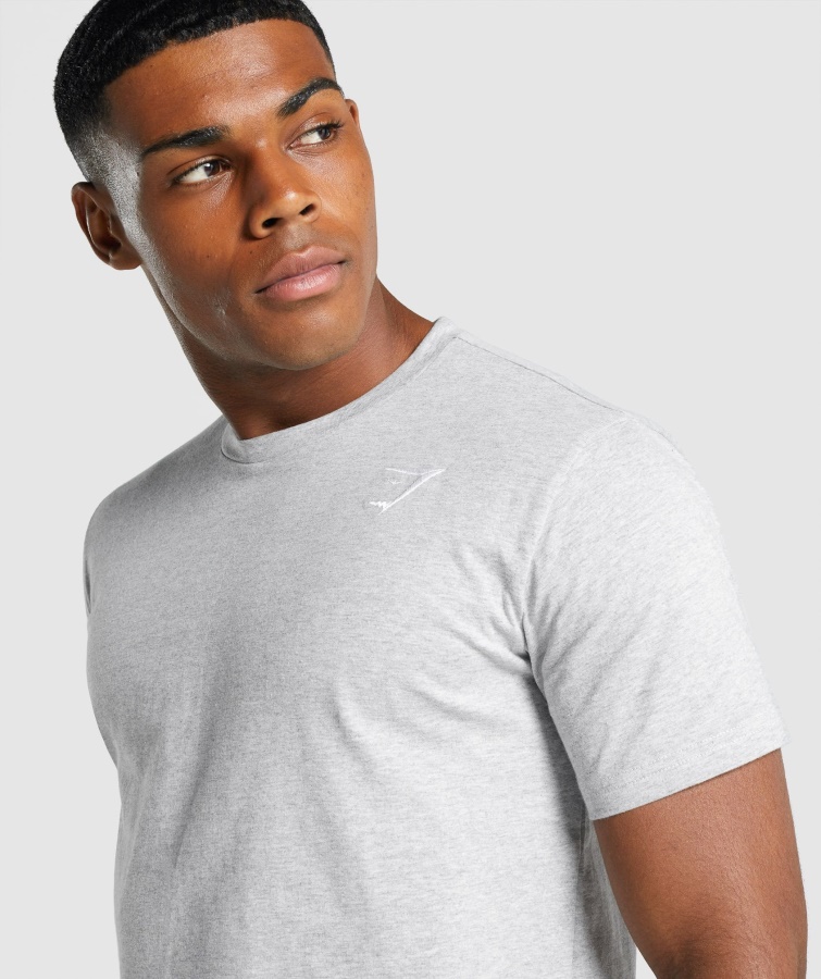 Gymshark Crest T-shirt Lysegrå Mergel