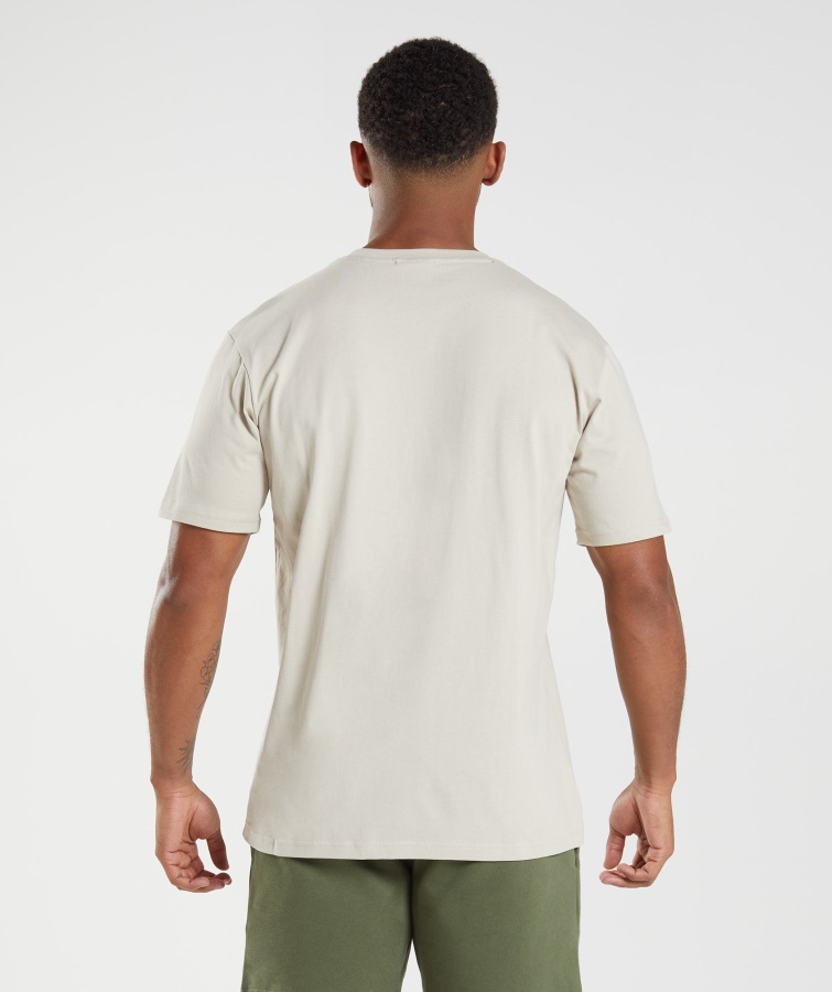Gymshark Crest T-shirt Pebble Grå