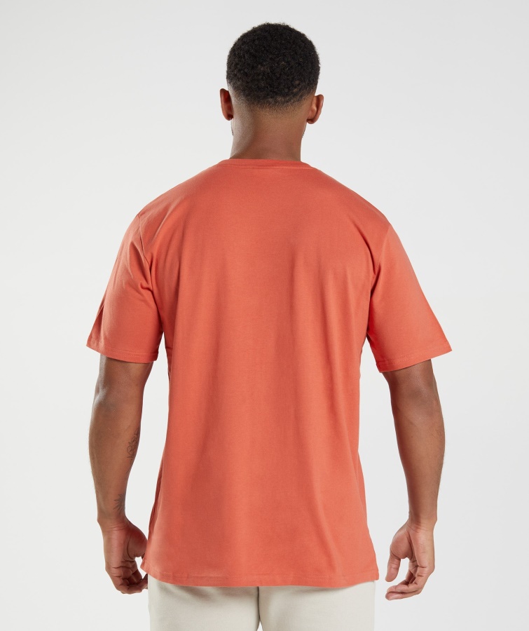 Gymshark Crest T-shirt Storm Rød