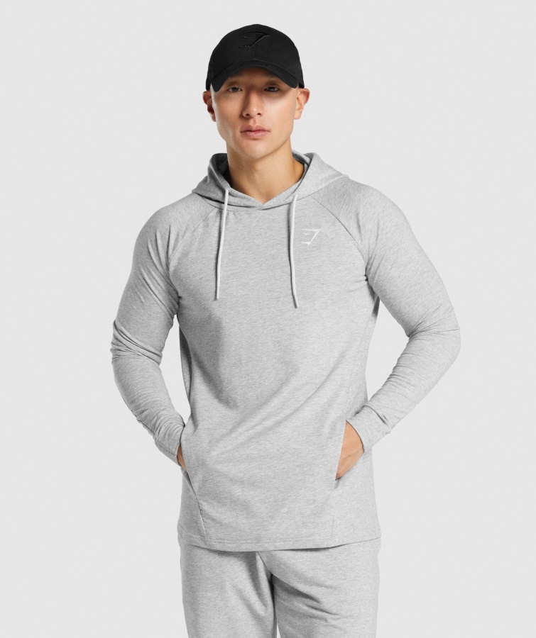 Gymshark Kritisk 2.0 Hættetrøje Lysegrå Mergel