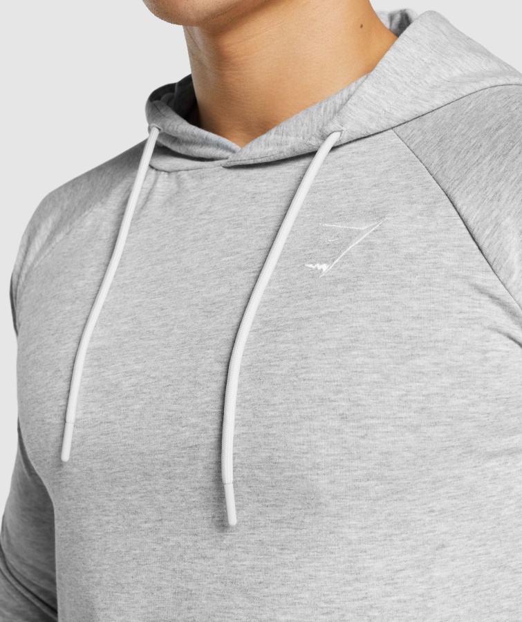 Gymshark Kritisk 2.0 Hættetrøje Lysegrå Mergel