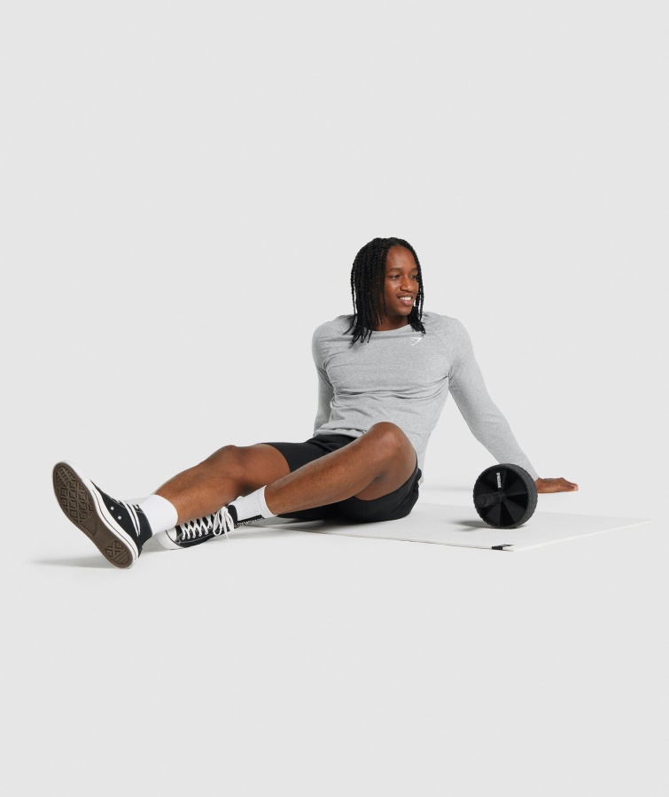 Gymshark Kritisk 2.0 Langærmet T-shirt Lysegrå Mergel