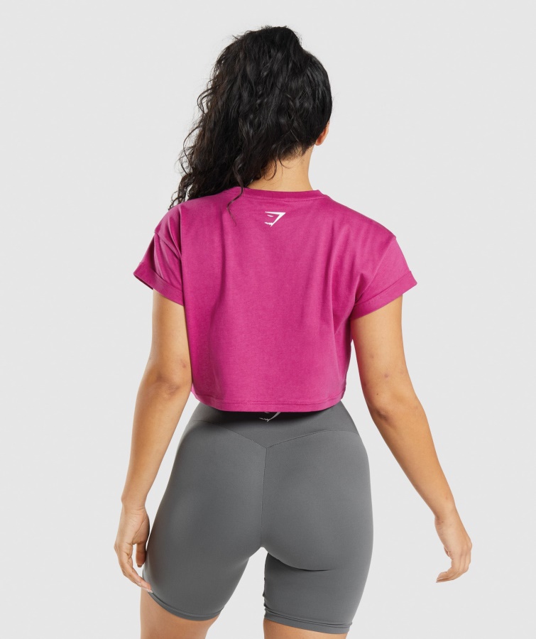 Gymshark Dragon Pink Fraktion Afgrødetop