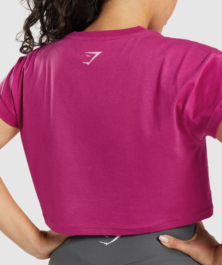 Gymshark Dragon Pink Fraktion Afgrødetop