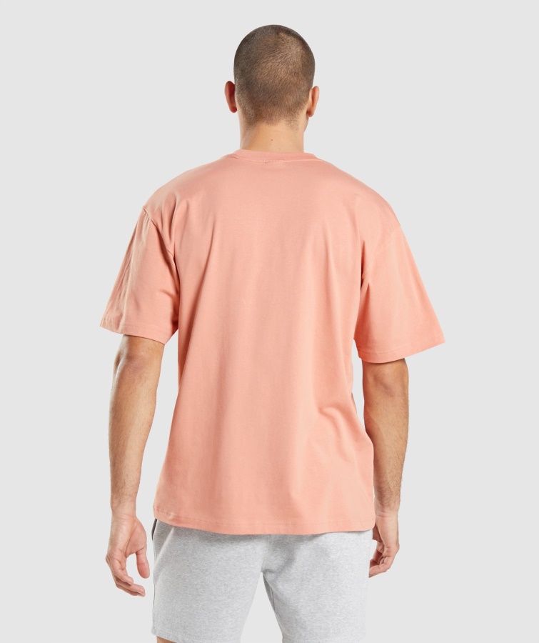 Gymshark Essential Oversized T-shirt Nevada Pink