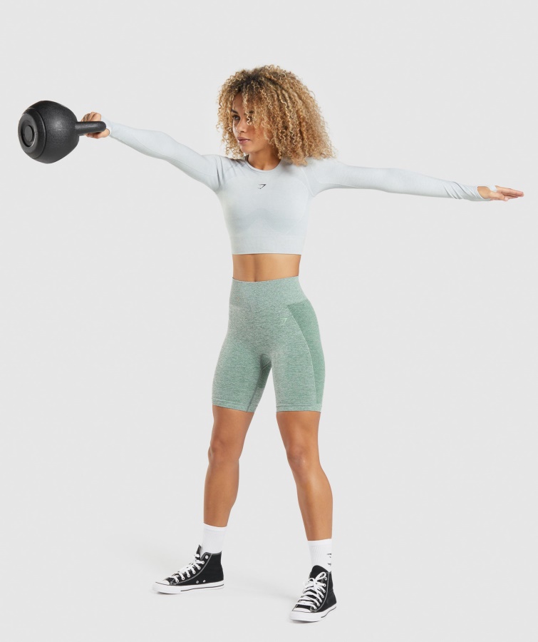 Gymshark Flex Sports Langærmet Crop Top Lysegrå Mergel