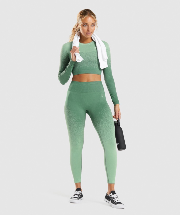 Gymshark Grøn-lysegrøn Adapt Ombre Sømløse Leggings