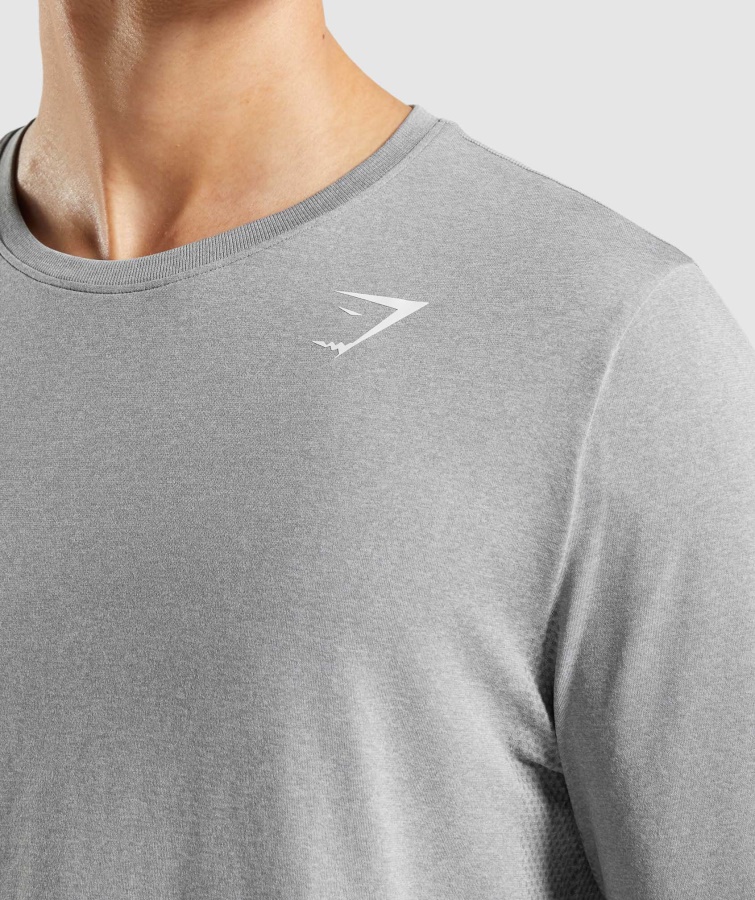 Gymshark Grå Ankomst Sømløs Langærmet T-shirt