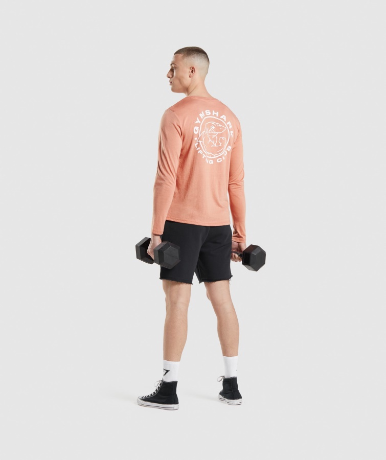 Gymshark Legacy Langærmet T-shirt Nevada Pink