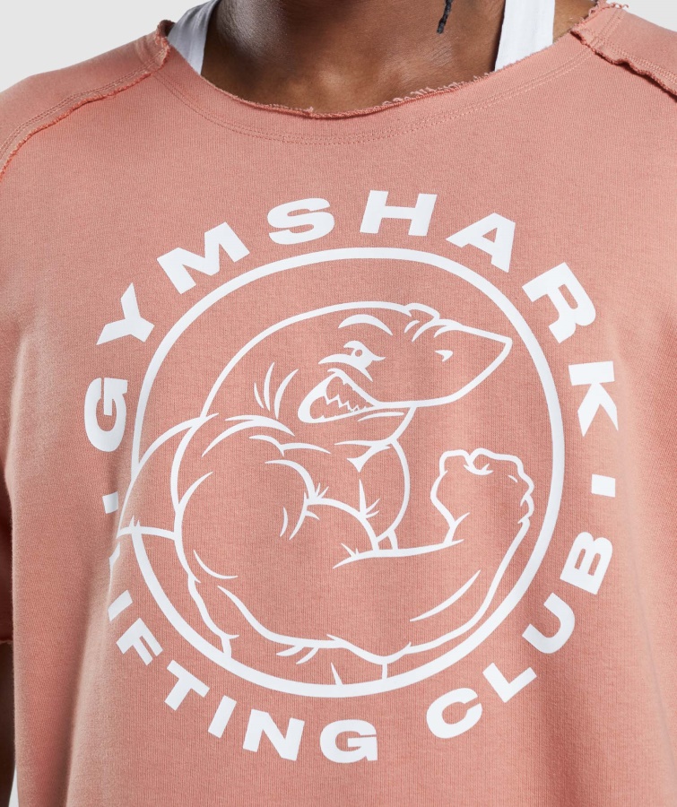 Gymshark Legacy Kludetop Nevada Pink
