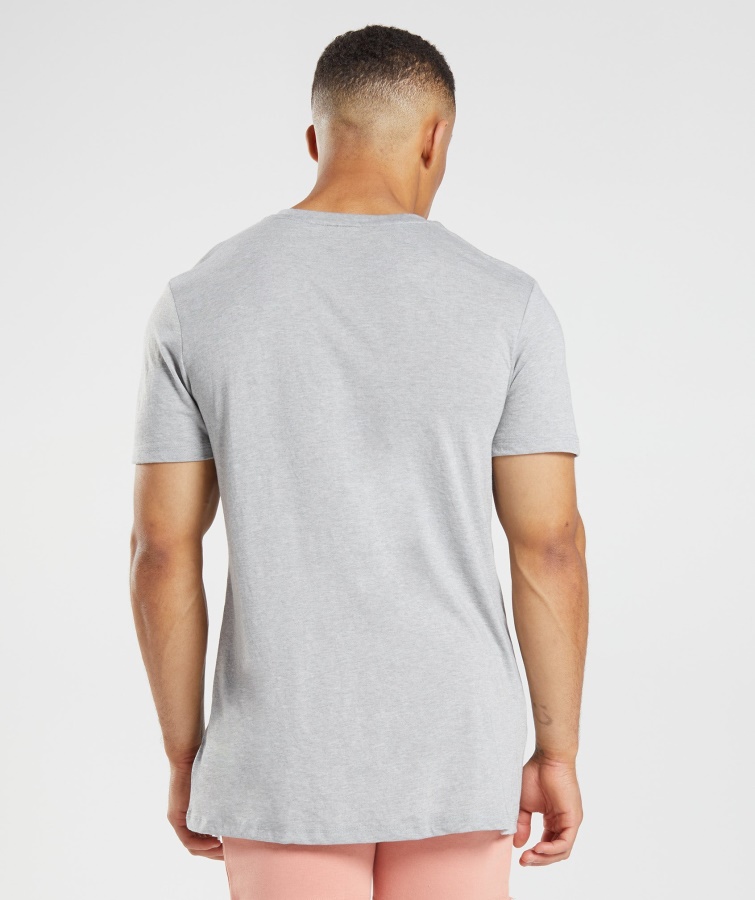 Gymshark Lysegrå Core Marl Legacy T-shirt