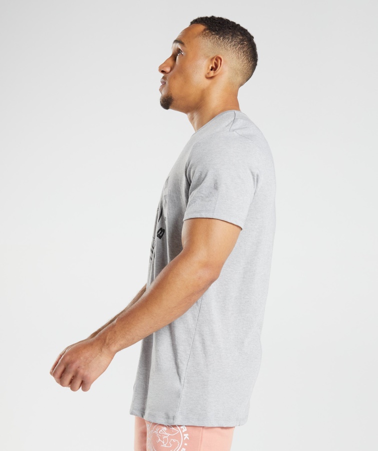 Gymshark Lysegrå Core Marl Legacy T-shirt