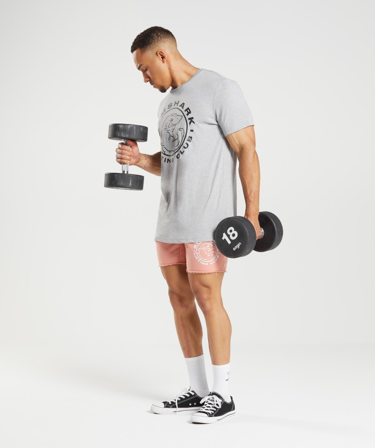 Gymshark Lysegrå Core Marl Legacy T-shirt