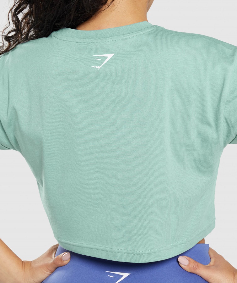 Gymshark Maya Blue Fraktion Crop Top