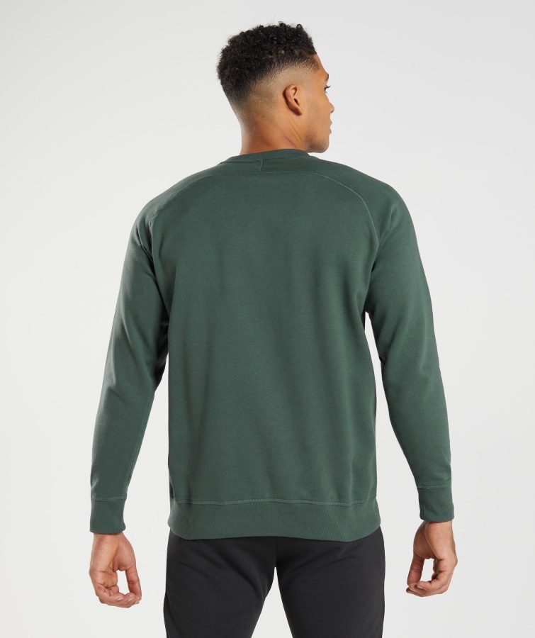 Gymshark Obsidian Green Apollo Crew