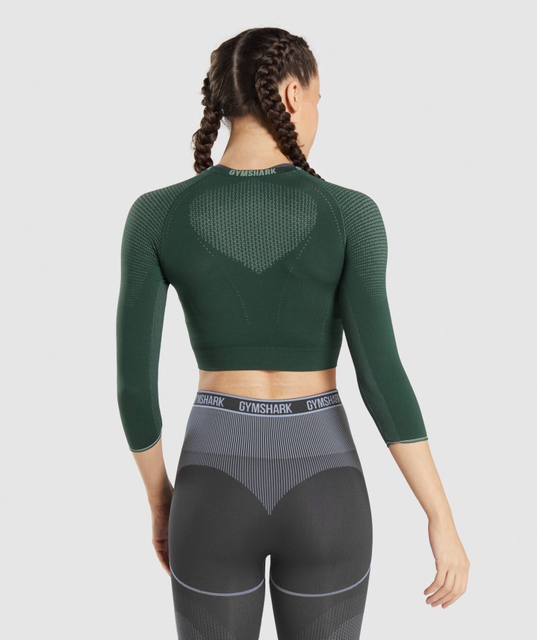Gymshark Obsidian Grøn-agurk Grøn Top Sømløs Crop Top