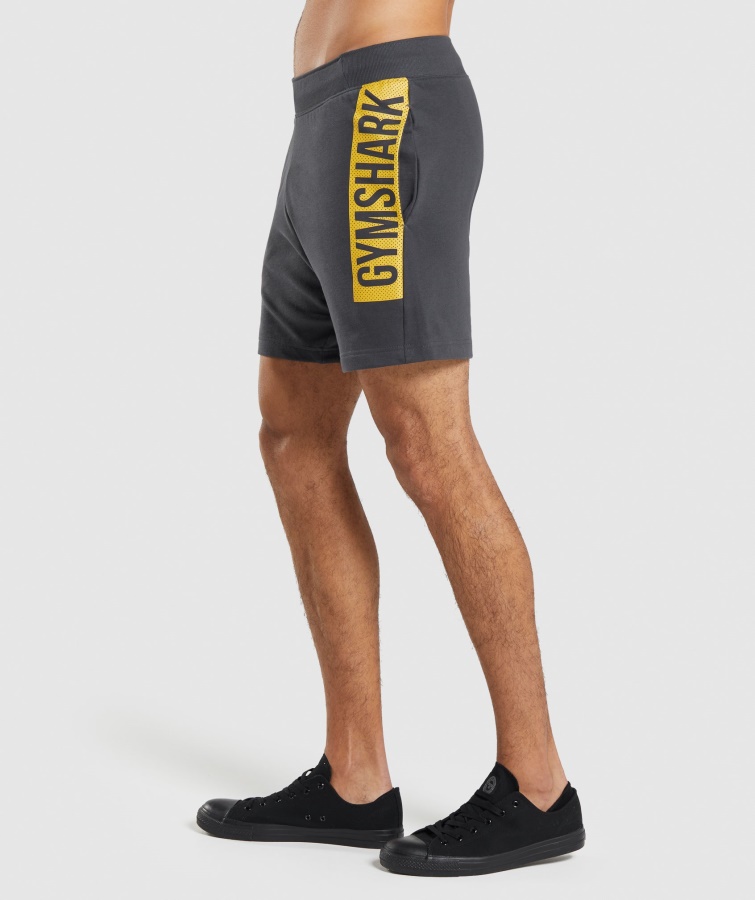 Gymshark Onyx Grå Dristige Shorts