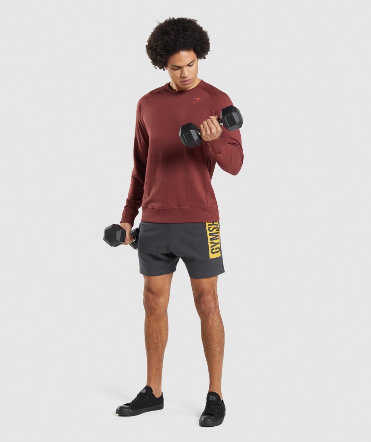 Gymshark Onyx Grå Dristige Shorts