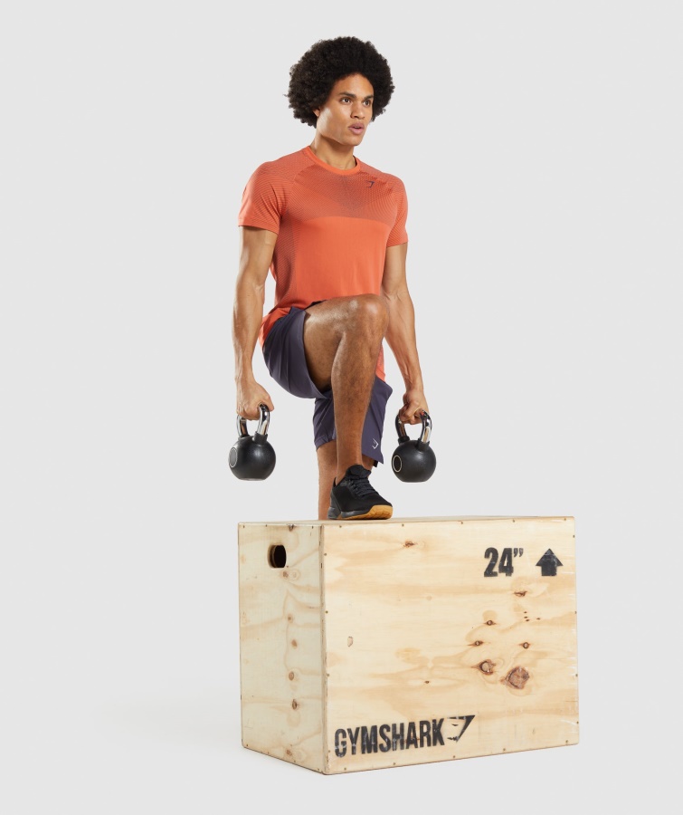 Gymshark Papaya Orange-onyx Grå Apex Sømløs T-shirt