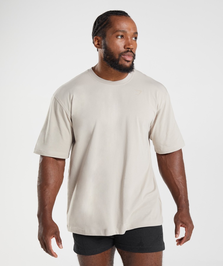 Gymshark Pebble Grey Power T-shirt