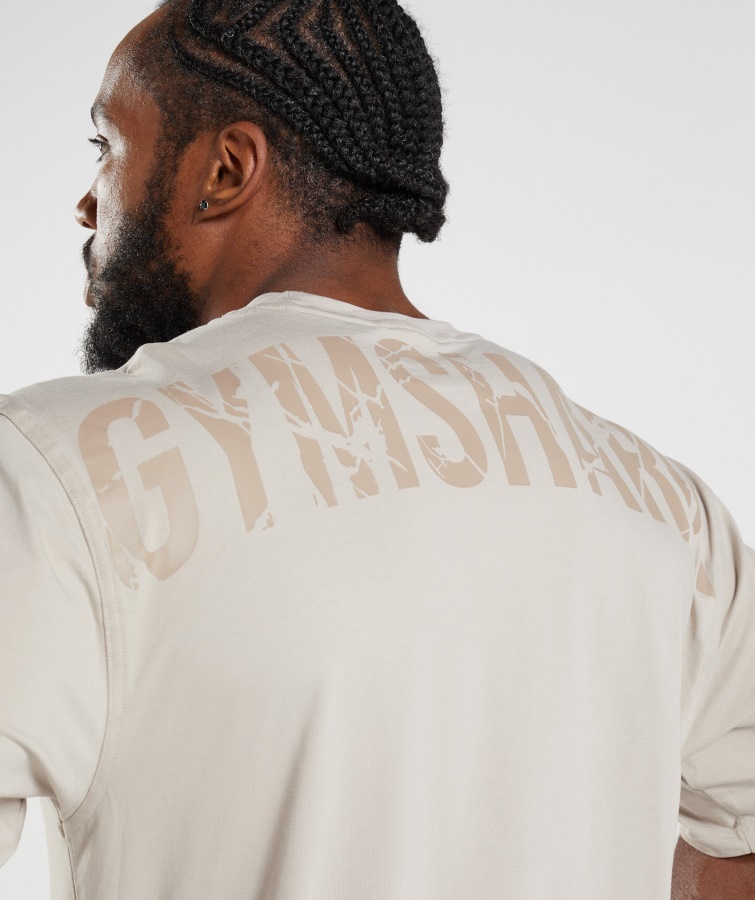 Gymshark Pebble Grey Power T-shirt
