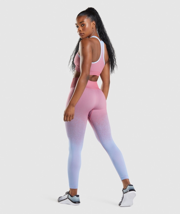 Gymshark Rose Pink-lyseblå Adapt Ombre Sømløse Leggings