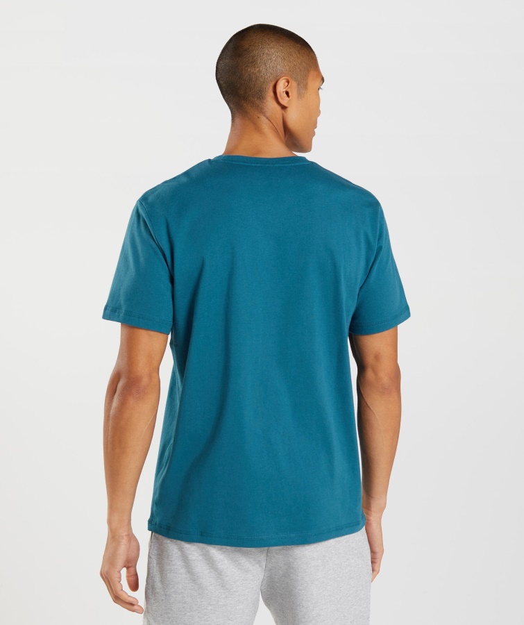 Gymshark Sharkhead Infill T-shirt Atlantic Blue