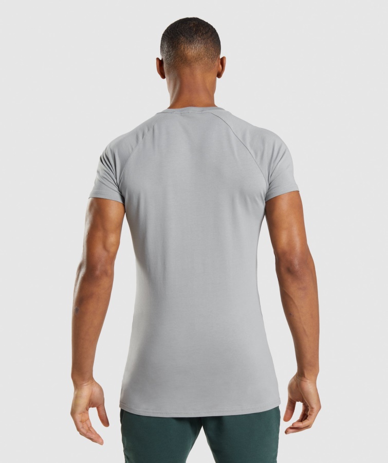 Gymshark Smokey Grå Apollo T-shirt