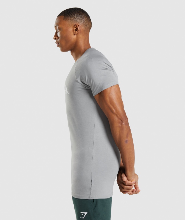 Gymshark Smokey Grå Apollo T-shirt