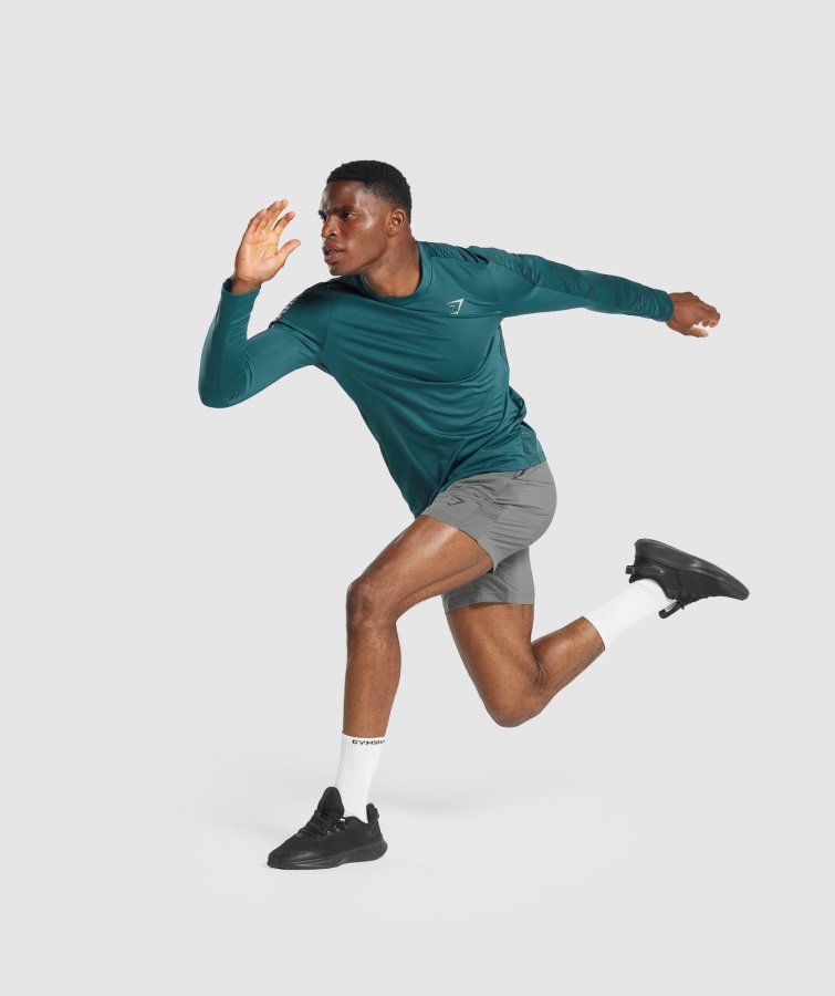 Gymshark Sportsshorts Kul