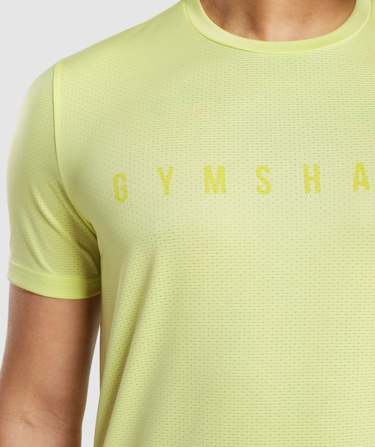 Gymshark Sportsstribet T-shirt Firefly Green