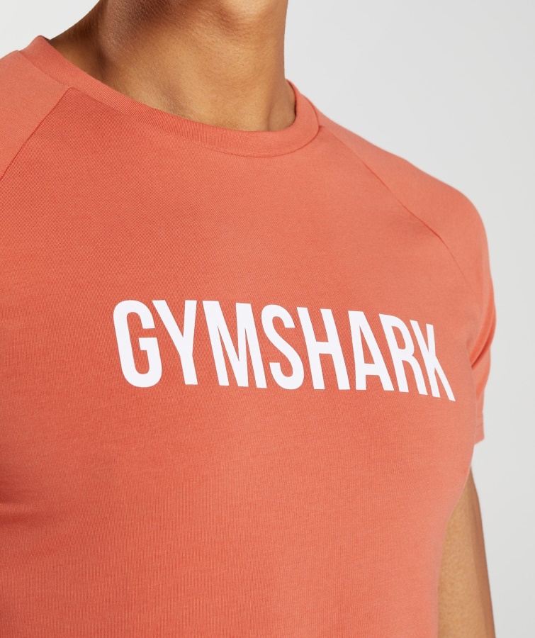 Gymshark Storm Rød Apollo T-shirt