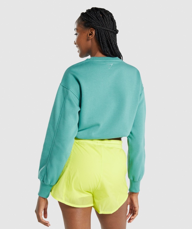 Gymshark Blågrøn Pulstrøje