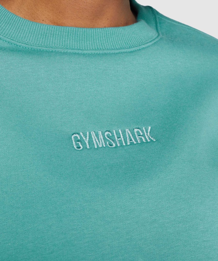 Gymshark Blågrøn Pulstrøje