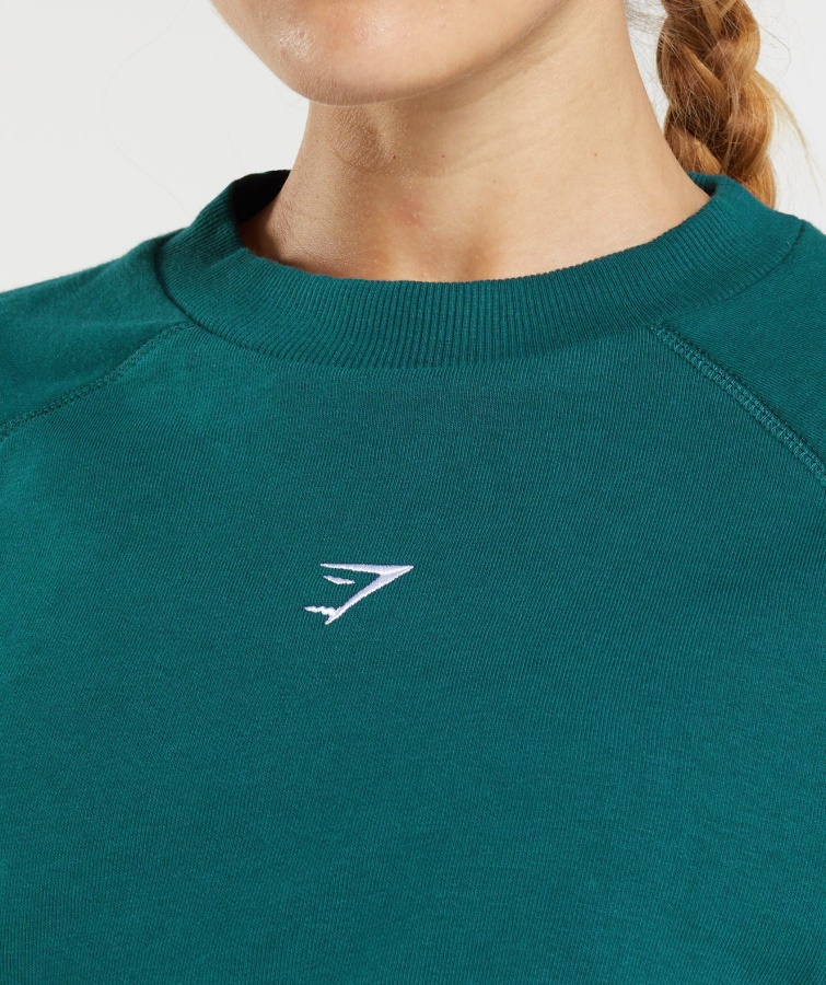 Gymshark Træning Beskåret Sweater Vinter Krikand